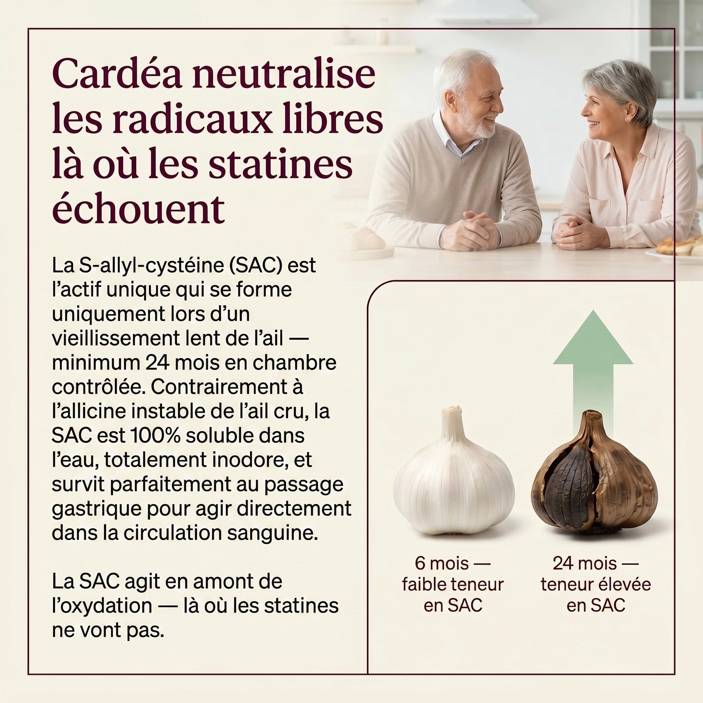 Cardéa — visuel produit 12