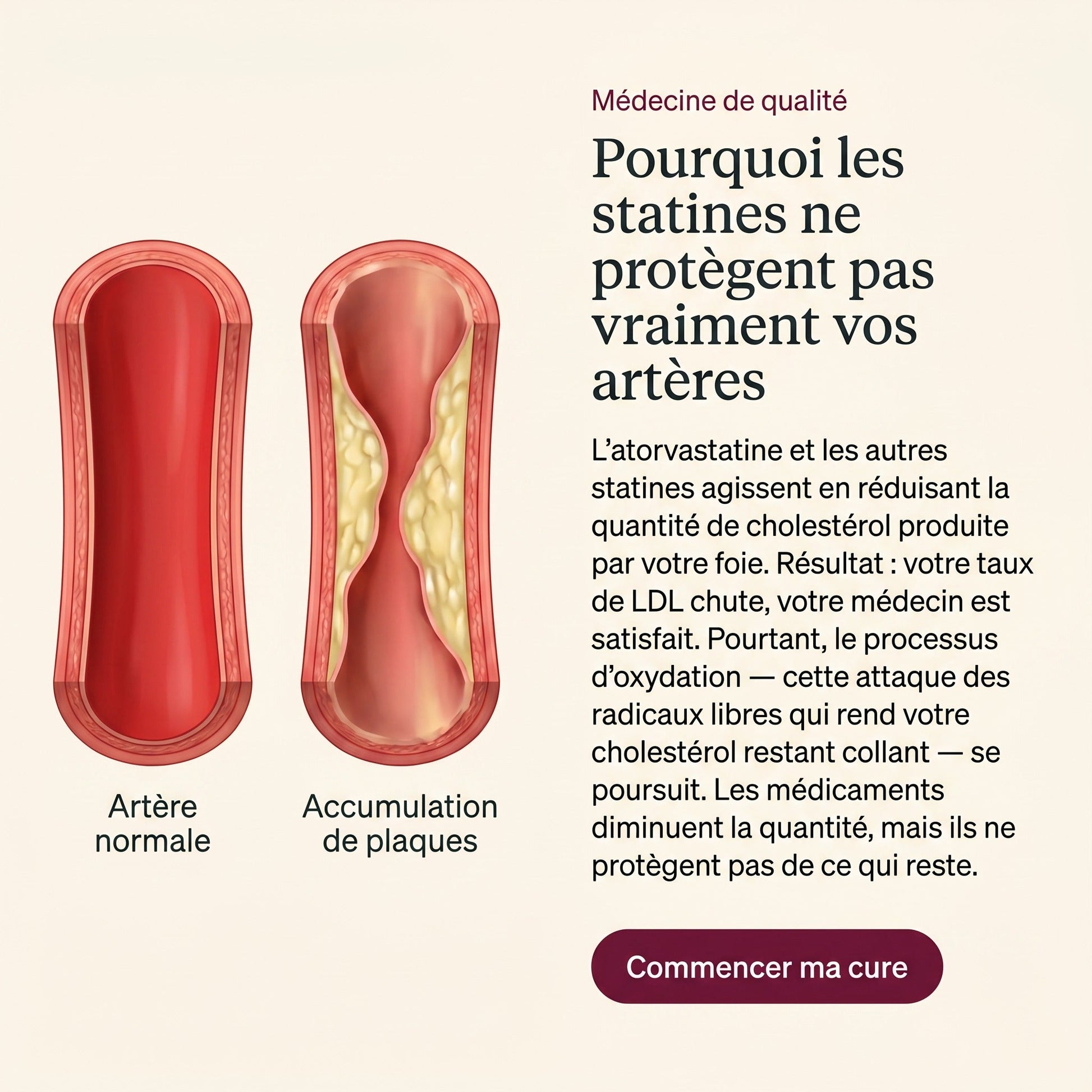 Cardéa — visuel produit 13